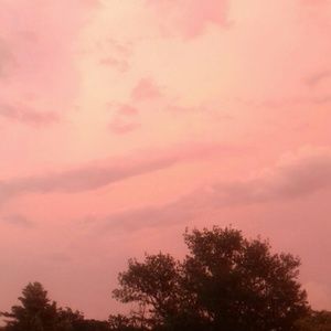 Meet your Posher, Sar